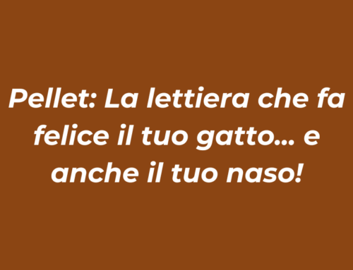 4 Motivi per cui il Pellet è la Lettiera Perfetta per il tuo Gatto