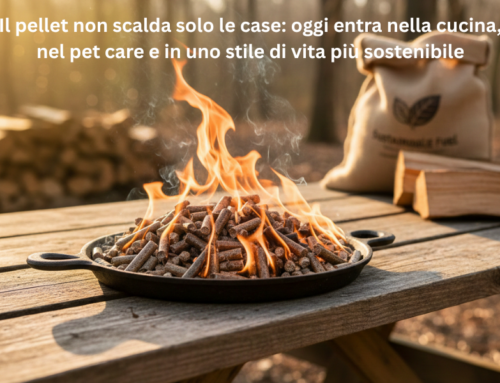Pellet per BBQ: il boom del cooking a legna controllata